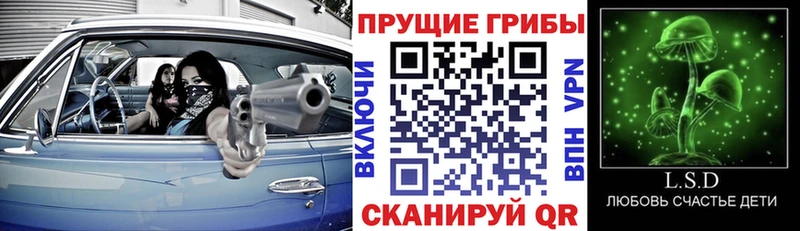 Галлюциногенные грибы мухоморы  Октябрьский 